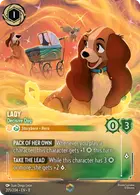 Lady — Decisive Dog