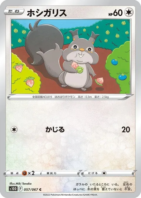 カブトップス