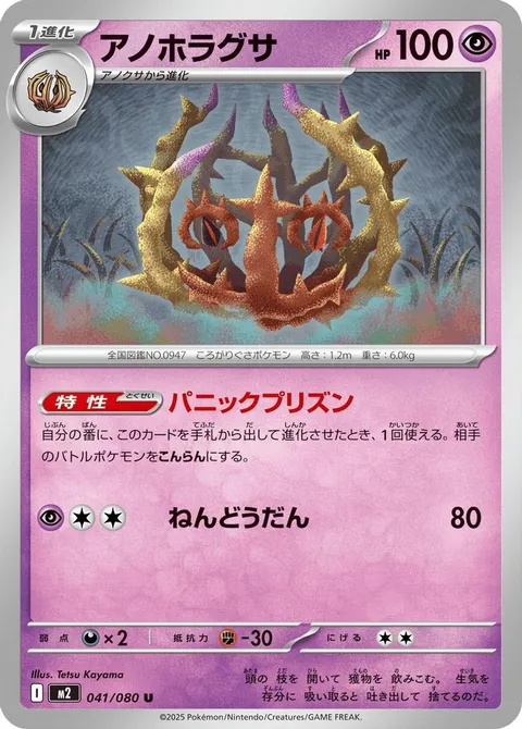 アノホラグサ