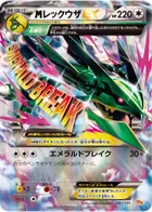 エルム教授のトレーニング方法