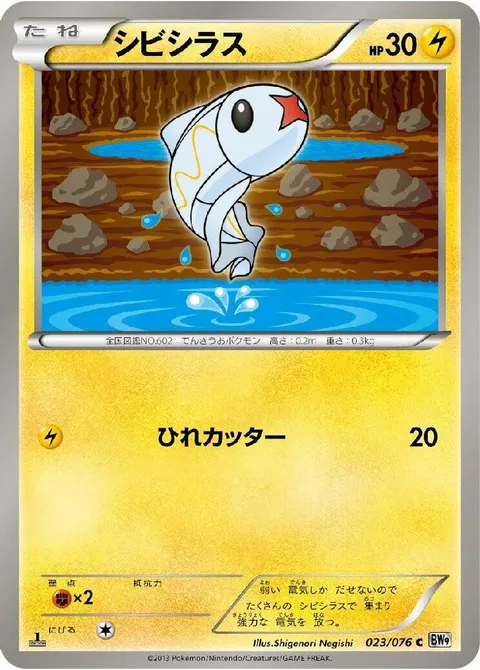 Swampert Ex
