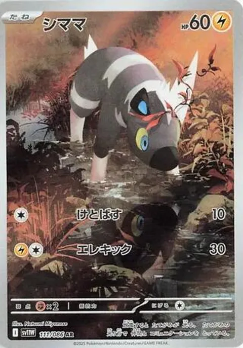 シママ