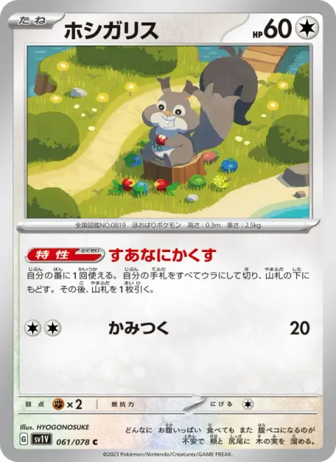 ホシガリス