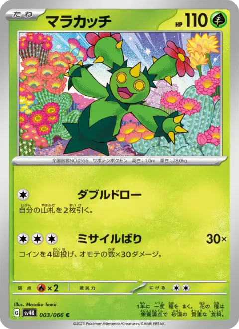 マラカッチ