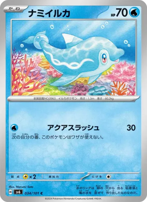 ナミイルカ