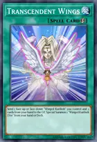 Transcendent Wings