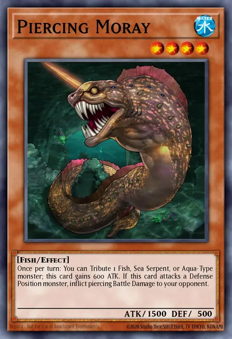 Piercing Moray