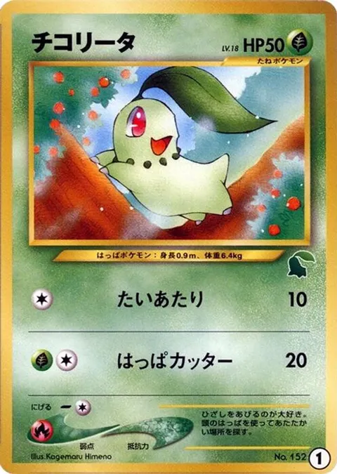 Chikorita