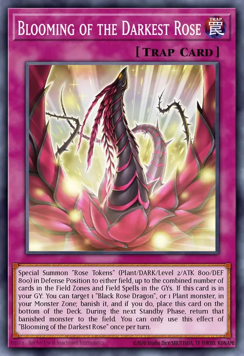 Blooming of the Darkest Rose