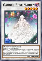 Garden Rose Maiden