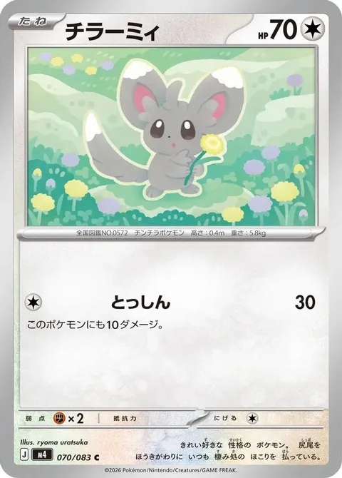 Minccino