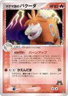 Team Magma's Camerupt