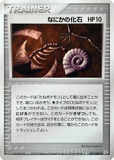 Mysterious Fossil