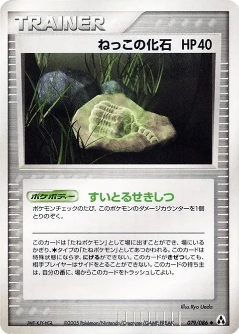 Root Fossil