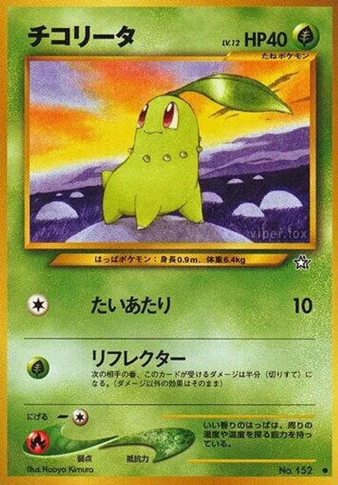 チコリータ