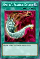 Harpie's Feather Duster