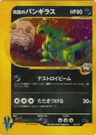 Rocket's Tyranitar