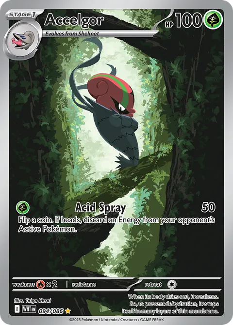 Accelgor