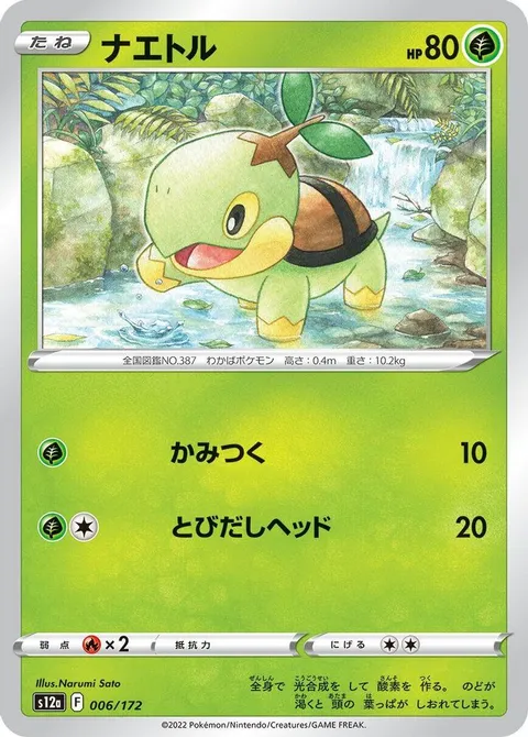 Turtwig