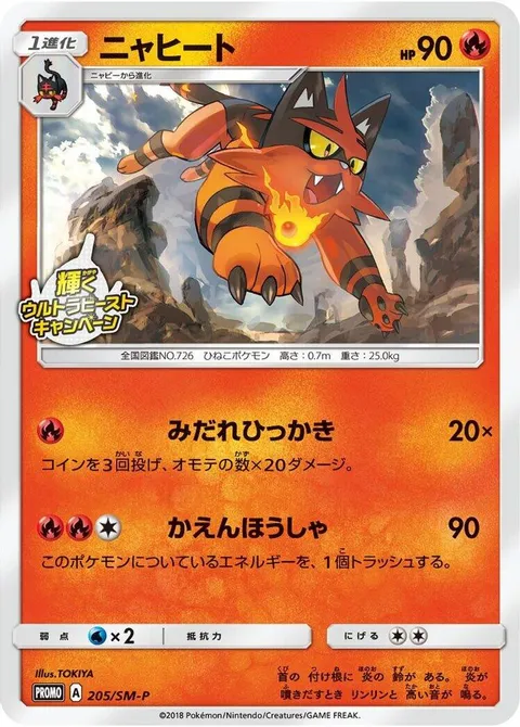 Torracat