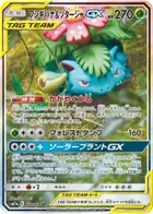 Venusaur & Snivy GX