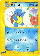 Wartortle