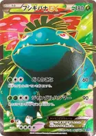 Venusaur EX