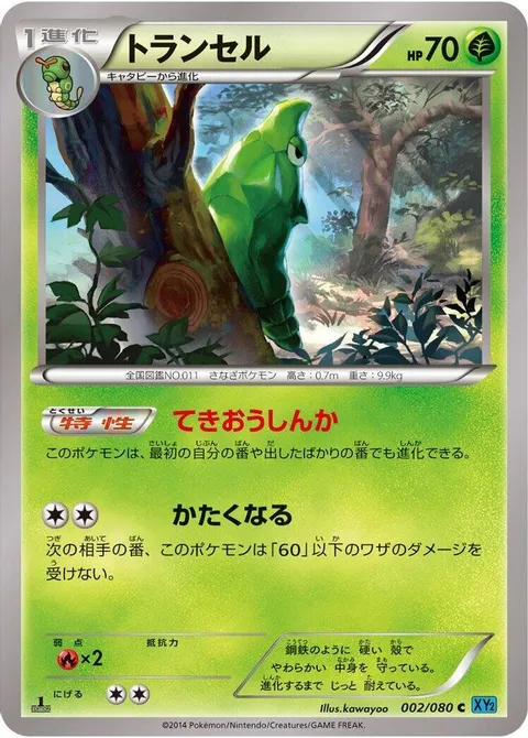 Metapod